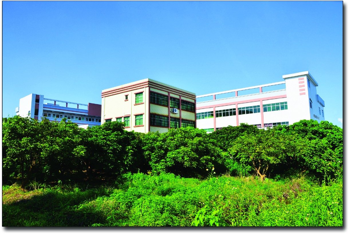 Nexa PCB circuit board manufacturing